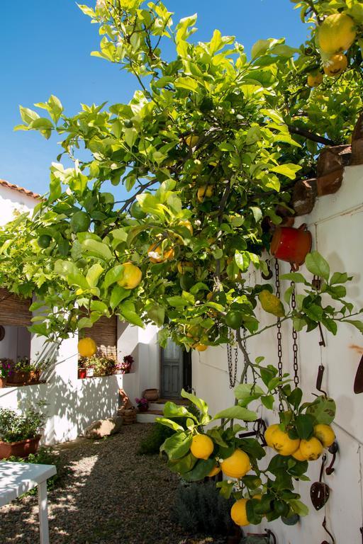 B&B Martina San Vito  Luaran gambar