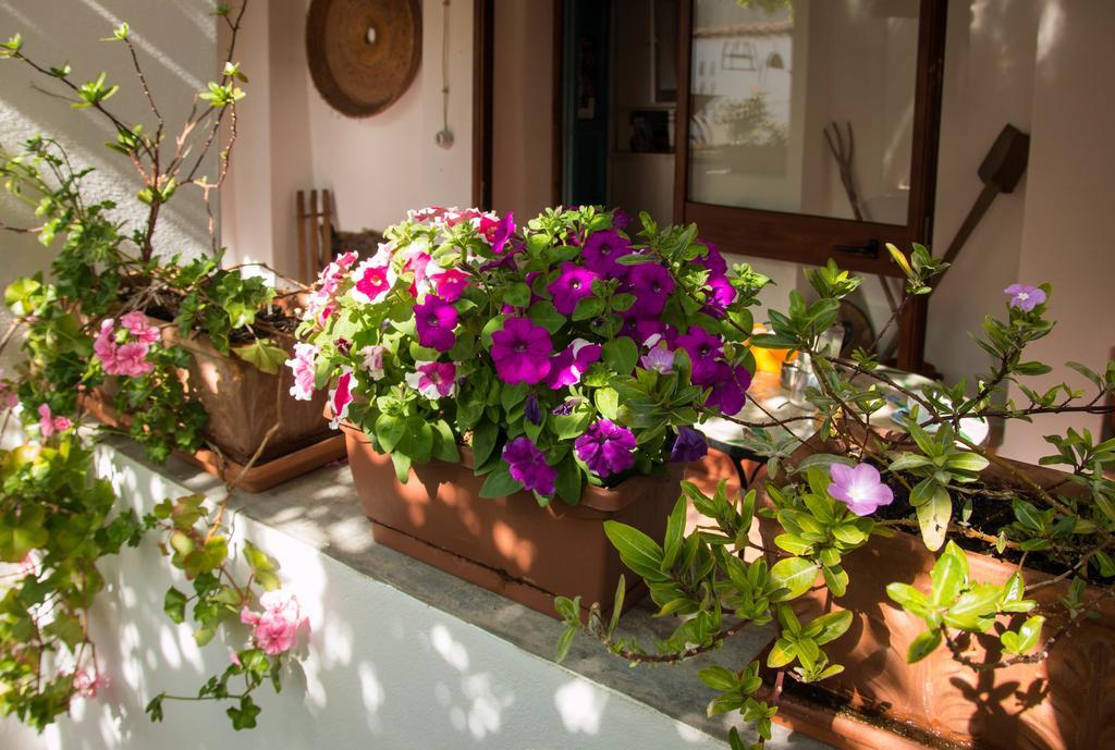 B&B Martina San Vito  Luaran gambar